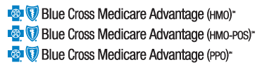 Blue Medicare Advantage HMO POS PPO Logo